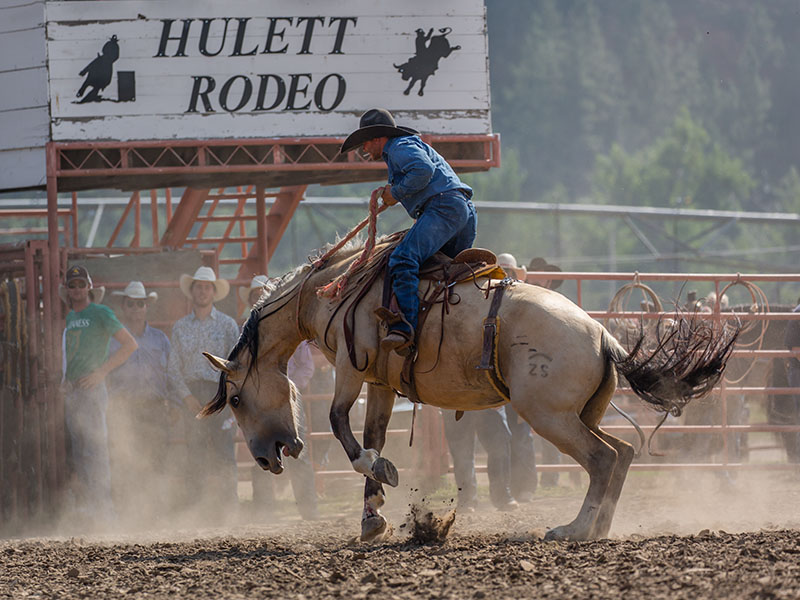 Rodeos In Wyoming 2025 Dolly Gabrila