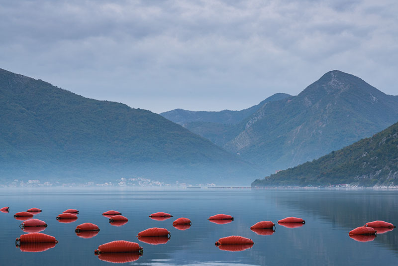 Fish farms