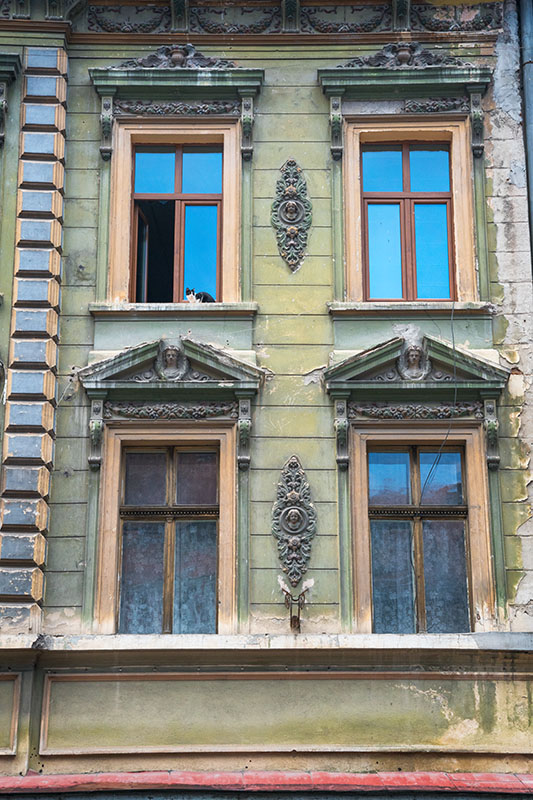 window-cat-brasov-20160829-_dsc8623-copy