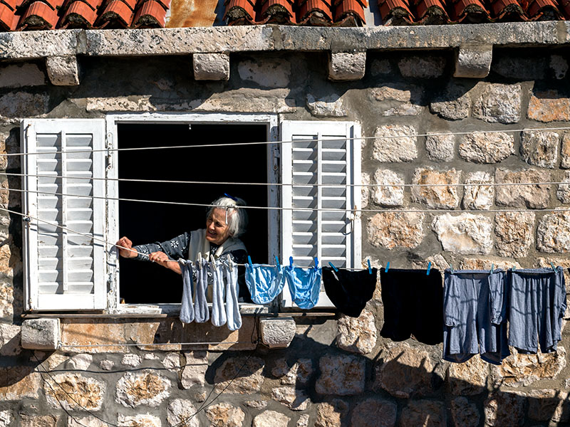 window-cat-granny-20161022-_dsc0522-copy